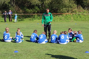 爱游戏官网-意甲攻守大比拼：速度与战术的融合！，意甲战术强在哪里